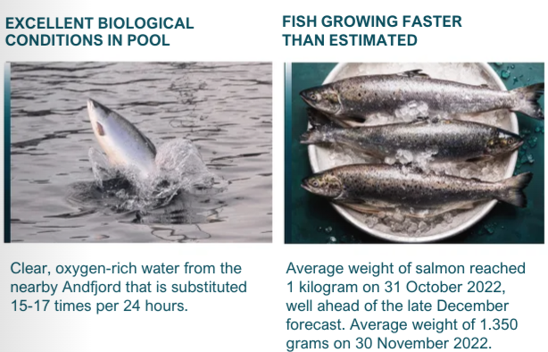 Seafood Media Group - Noticias - El Productor De Salmón Andfjord Salmon ...